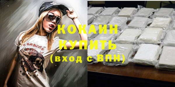 стаф Баксан