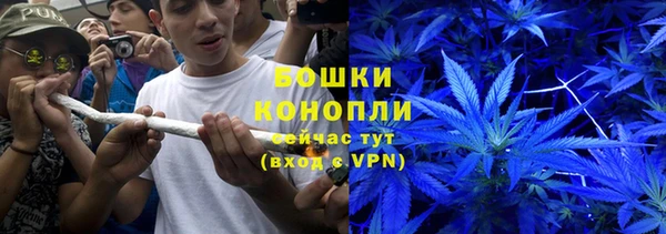 стаф Баксан