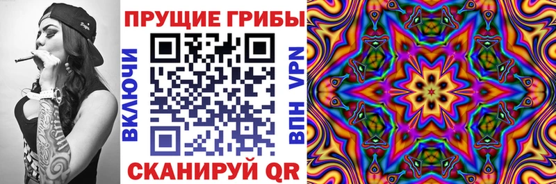 блэк спрут как войти  Ленск  Псилоцибиновые грибы MAGIC MUSHROOMS 